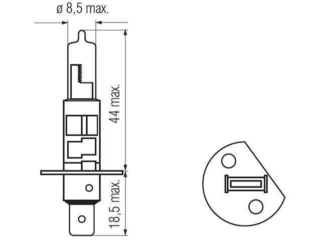 Bosma bulb H1, 55W Voltage: 6 V