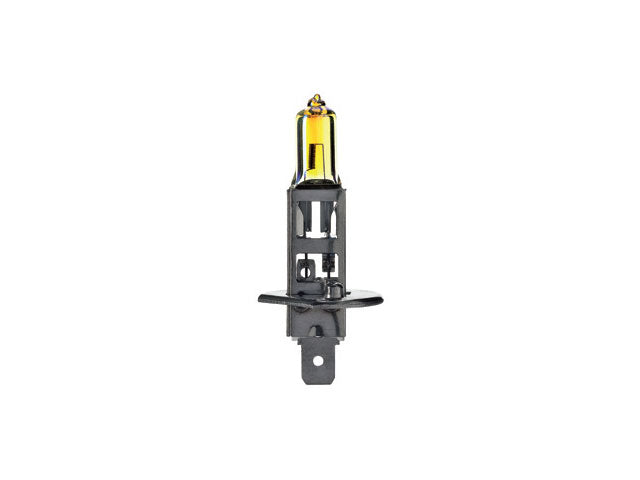 Bosma bulb H1, 55W, 12V, P14.5s compl