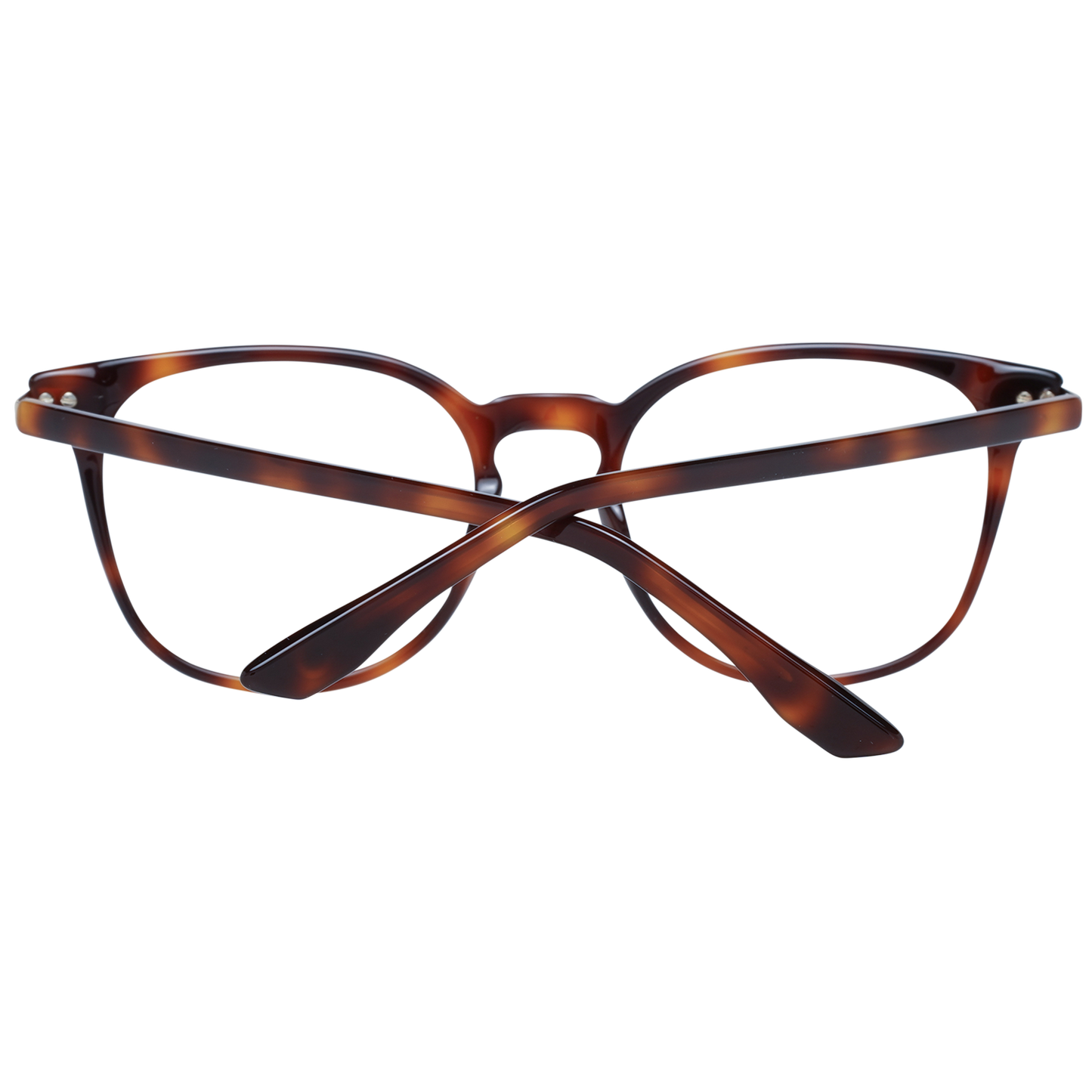 BMW Glasses BW5032 52053
